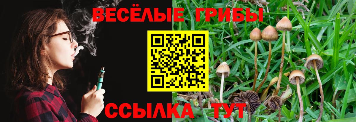 Галлюциногенные грибы ЛСД  Псилоцибиновые грибы ЛСД  Реж  Вход с VPN 